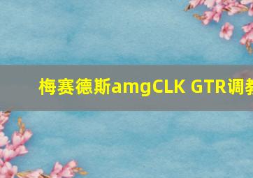 梅赛德斯amgCLK GTR调教